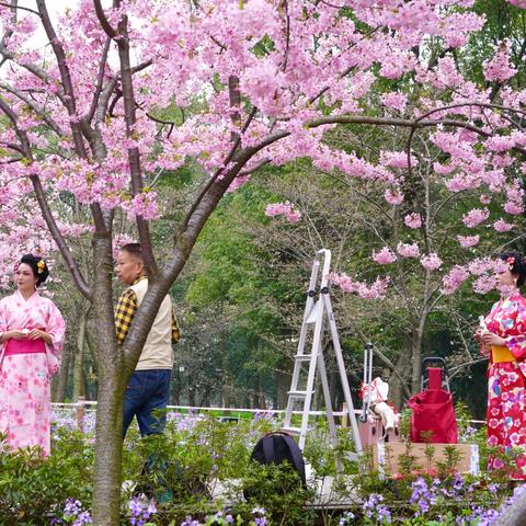 武汉天气预报15天气报(武汉天气预报15天气报武汉周边的景点) 武汉天气预报15天气报(武汉天气预报15天气报武汉周边的景点)