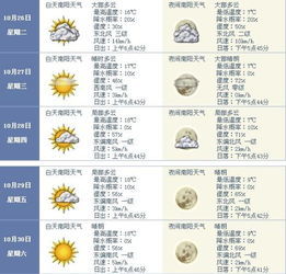 过去的天气记录怎么查询（天气预报回看14天）
