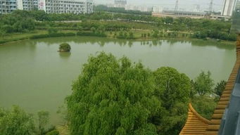 海南温度现在多少度（海南温度现在多少度啊）