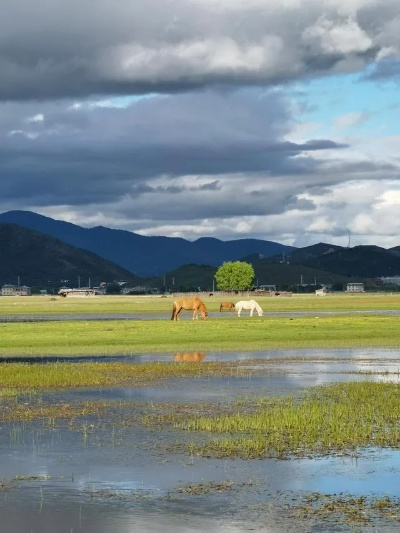 香格里拉天气(香格里拉天气预报) 香格里拉天气(香格里拉天气预报)
