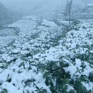 今天全国天气预报(今天全国天气预报视频) 今天全国天气预报(今天全国天气预报视频)