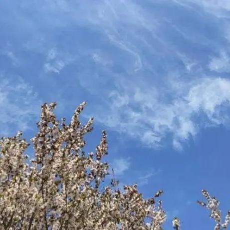 新乡天气预报15天（新乡天气预报15天准确一览表图片下载）