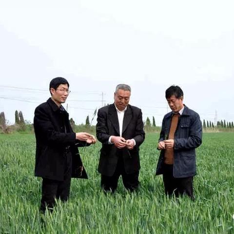 凤阳天气预报（凤阳天气预报30天准确 一个月）