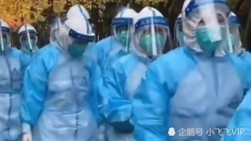 疫情（疫情动态）
