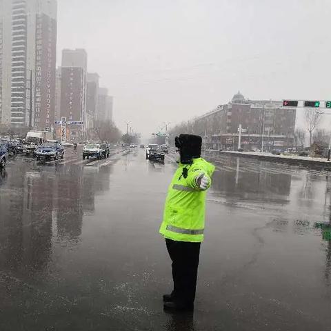 怎么查以前的天气预报（怎么查以前的天气预报情况）