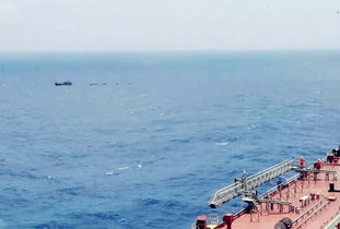 海上风浪查询软件(实时海上风浪) 海上风浪查询软件(实时海上风浪)